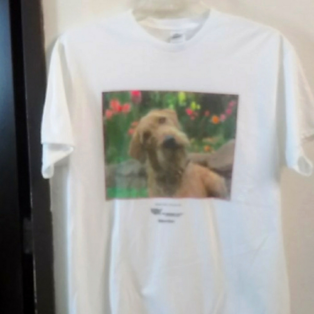 Adult t-shirt by Delta adopt a dog